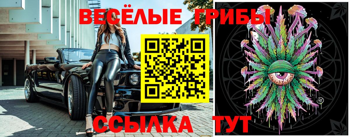Псилоцибиновые грибы прущие грибы  Вход с VPN  Звенигород 